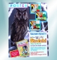 Preview: Walt Disneys Strolchi Comic-Magazin Nr. 1: Winterfreuden von Ehapa